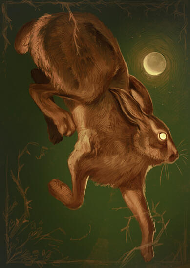 Hare, 2026