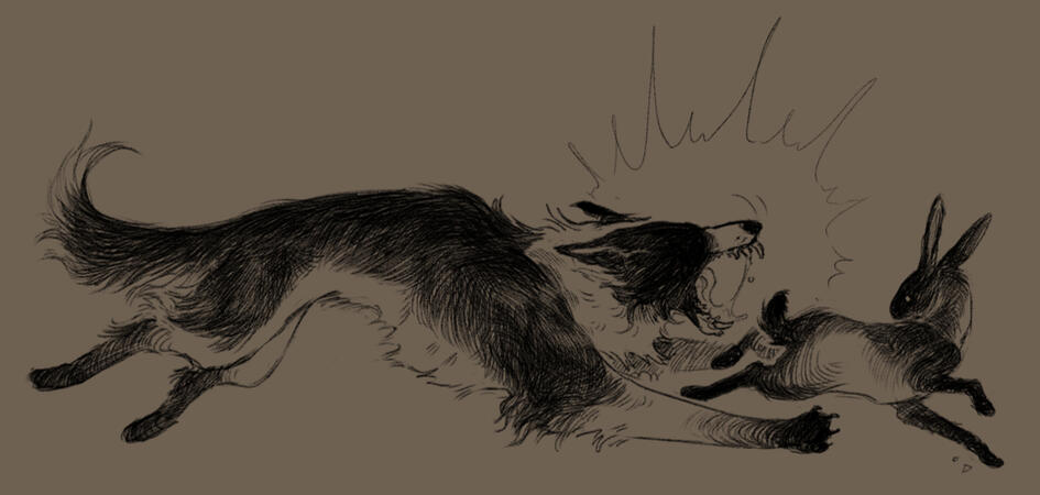 commission, 2024